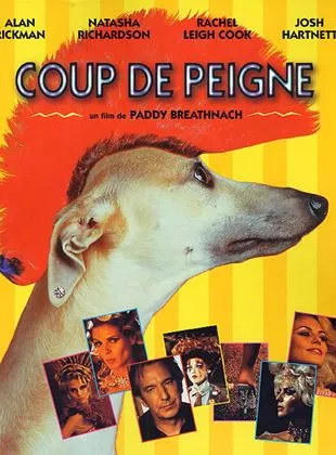 Affiche du film Coup de peigne