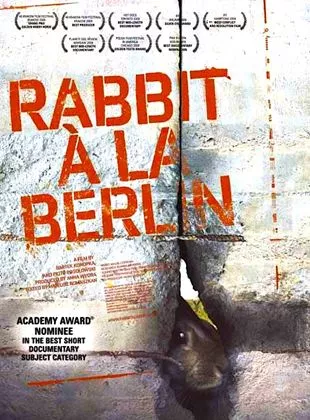 Affiche du film Rabbit à la berlin - Court Métrage
