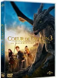 Affiche du film Coeur de dragon 3 - La malédiction du sorcier