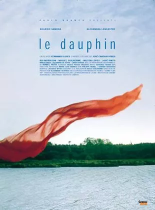 Affiche du film Le Dauphin