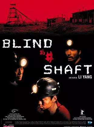 Affiche du film Blind shaft