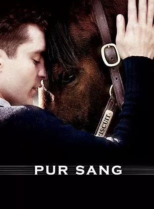 Affiche du film Pur Sang, la légende de Seabiscuit