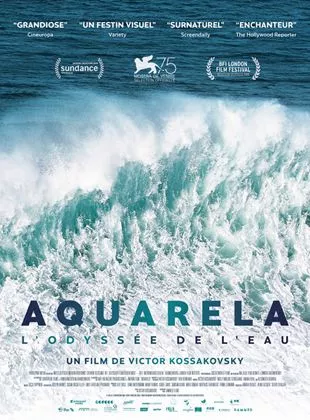 Affiche du film Aquarela - L'Odyssée de l'eau