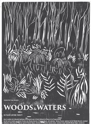 Affiche du film Woods & Waters - Court Métrage