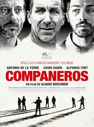 Affiche du film Companeros