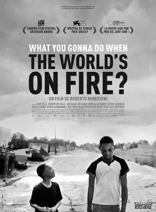 Affiche du film What You Gonna Do When The World's On Fire?