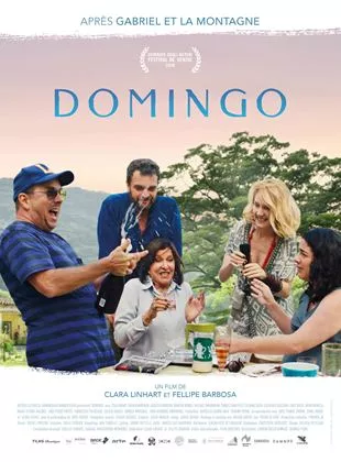 Affiche du film Domingo