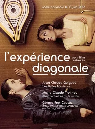 Affiche du film L'Expérience Diagonale