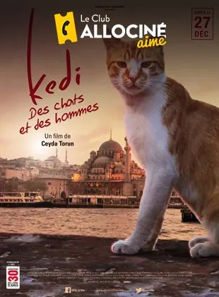 Affiche du film Kedi - Des chats et des hommes