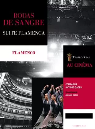 Affiche du film Bodas de sangre - Suite Flamenca (Rising Alternative)
