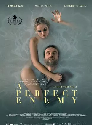 Affiche du film A Perfect Enemy