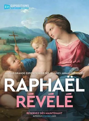 Affiche du film Raphaël Révélé
