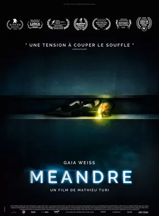 Affiche du film Méandre