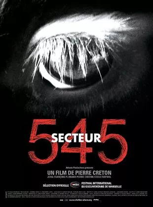 Affiche du film Secteur 545