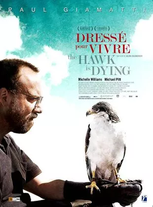 Affiche du film The Hawk is Dying - Dressé pour vivre