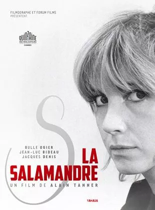 Affiche du film La Salamandre