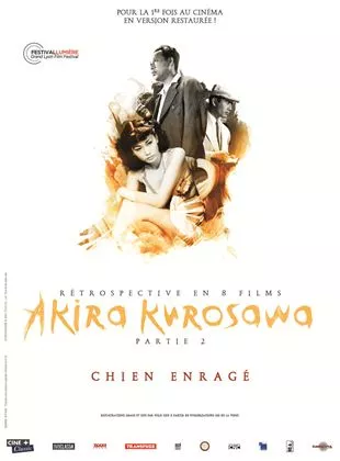 Affiche du film Chien enragé