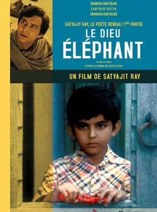 Affiche du film Le Dieu elephant