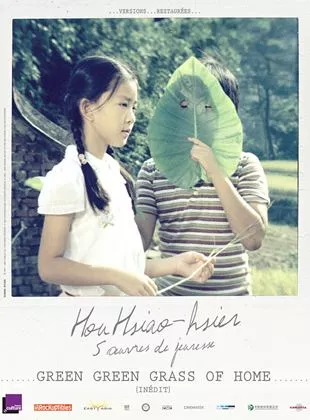 Affiche du film Green Green Grass of Home