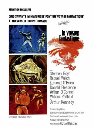 Affiche du film Le Voyage fantastique