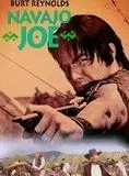 Affiche du film Navajo Joe