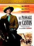 Affiche du film Le Passage du Canyon