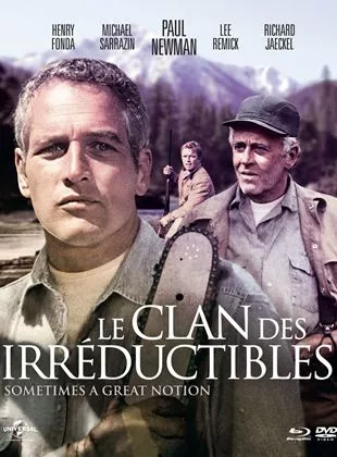Affiche du film Le Clan des irréductibles