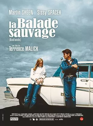 Affiche du film La Balade sauvage
