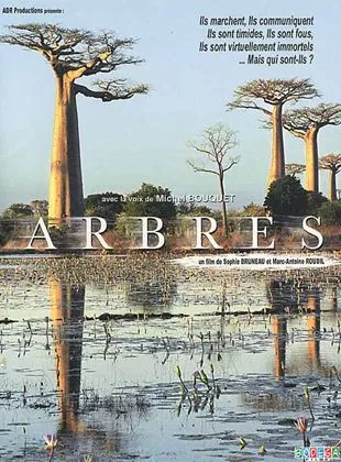 Affiche du film Arbres - Court Métrage