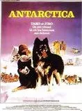 Affiche du film Antarctica