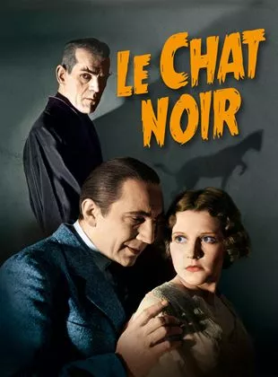 Affiche du film Le Chat noir