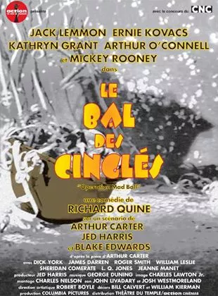 Affiche du film Le Bal des cinglés