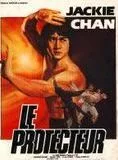 Affiche du film Le Protecteur