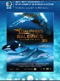 Affiche du film Dauphins et baleines 3D, nomades des mers - Court Métrage