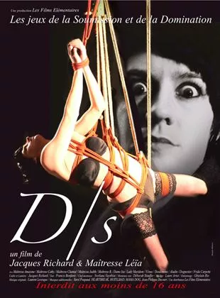 Affiche du film D/S