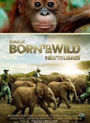 Affiche du film Born to Be Wild - Court Métrage