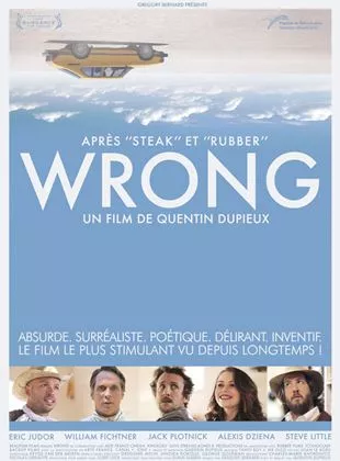 Affiche du film Wrong