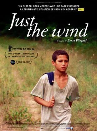 Affiche du film Just the Wind