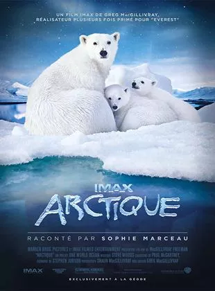Affiche du film Arctique