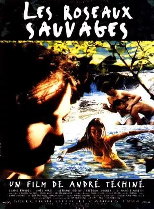 Affiche du film Les roseaux sauvages