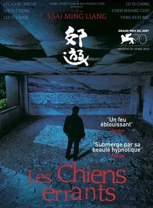 Affiche du film Les Chiens errants