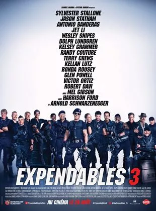Affiche du film Expendables 3