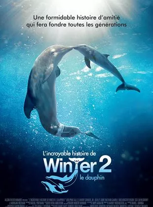 Affiche du film L'Incroyable Histoire de Winter le dauphin 2