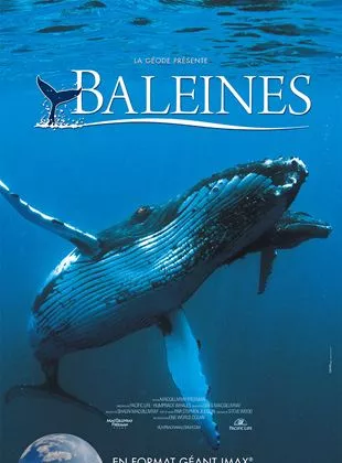 Affiche du film Baleines