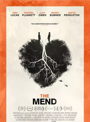 Affiche du film The Mend