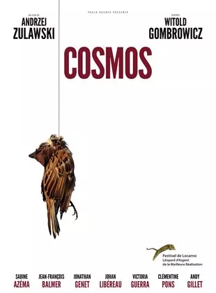 Affiche du film Cosmos