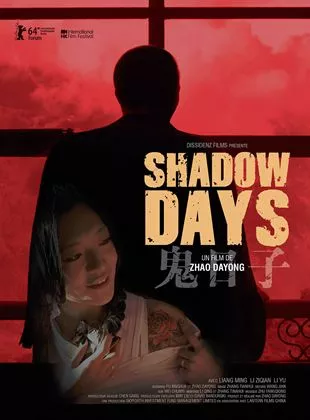 Affiche du film Shadow Days
