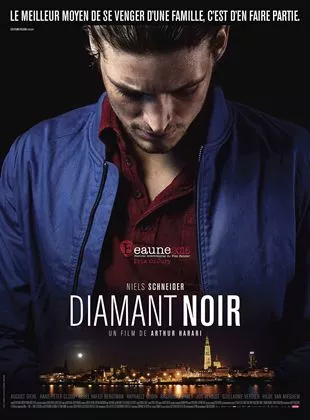 Affiche du film DIamant Noir
