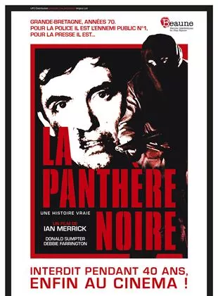Affiche du film La Panthère noire