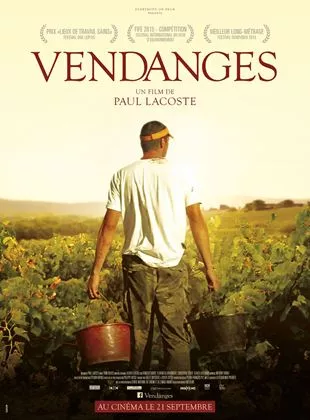 Affiche du film Vendanges
